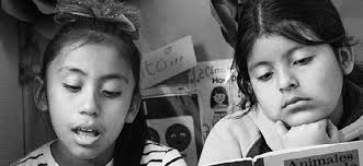 WHAT ARE THROUGH-YEAR ASSESSMENTS?