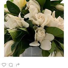 Pin On Home Decor Flowers