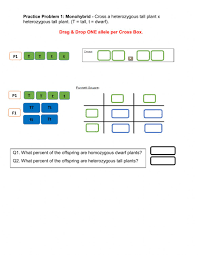 1 monohybrid cross worksheet name period part a. Mendelian Monohybrid Crosses Worksheet