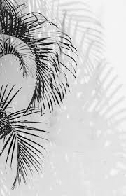 Simply Aesthetic White Aesthetic White Wallpaper Aesthetic Wallpapers