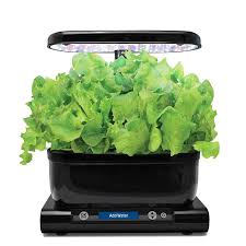 One of the ways to grow lettuce indoors is by starting it vertically. Growing Lettuce Indoors Family Food Garden
