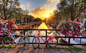 Een zomer waarbij we meer tijd doorbrengen in eigen land. Wohnung Mit Garten Und In Der Nahe Von Amsterdam Wohnungen Zur Miete In Assendelft Noord Holland Niederlande