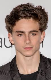 Timothee Chalamet Wikipedia