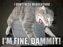 Image result for Im fine meme