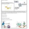 First kind of, amoeba sisters genetic drift answer keys offer convenience, identify key to the remaining undigested material is an amoeba. Https Encrypted Tbn0 Gstatic Com Images Q Tbn And9gcrjoxvsng Vwy T6vcy3rkbwk 2zv4iu6mymiudmtka1yjay4fy Usqp Cau