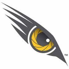 Eagle Eye Forex System Strategy Robot Fx Trading For Success Mt4 Bird Logo Design Logo Design Creative Eye Logo