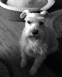 Danny Warfield's Instagram, Twitter & Facebook