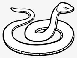 See more ideas about snake drawing, snake art, cute snake. Black Snake Png Free Hd Black Snake Transparent Image Pngkit