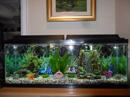 Check spelling or type a new query. 50 Gallon Fish Tank Cheap Buy Online