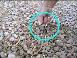 If the water indicator still flows, then the leak is in your exterior pipes. Looking For Water Leaks Outside Your Home Youtube