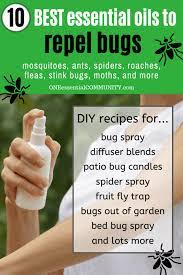 Check spelling or type a new query. Top 10 Essential Oils That Repel Bugs Bug Spray Recipe Diffuser Blends And More Diy Recipes To Naturally Keep Bugs Away One Essential Community