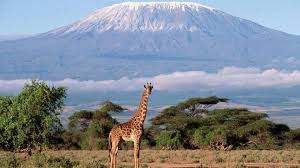 Bentuk air terjunnya sangat berbeda dari kebanyakan, terlihat berikut adalah beberapa gambar pemandangan air terjun tercantik di dunia. Hasil Survei 7 Gunung Berapi Terindah Di Dunia Indonesia Termasuk Satu Di Antaranya Halaman All Tribunnews Com Mobile