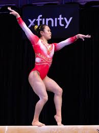 Zhang Qingying - Wikipedia