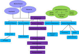 Nursing Home Organizational Chart Bedowntowndaytona Com