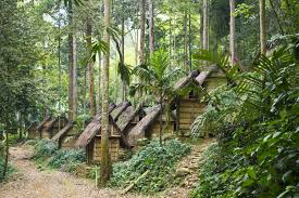 Lumbung Padi Leuit Baduy Indonesia Pedesaan Perjalanan