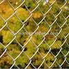 Diamond security fencing serving maddington, western australia. Https Encrypted Tbn0 Gstatic Com Images Q Tbn And9gcswpwkdcbd4zilyevbb21ca6dhxkcvtuo6sctltsfbjtwcvjvyk Usqp Cau