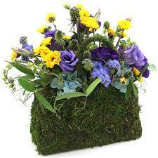 We did not find results for: Valley Forge Flowers Exceeding Expectations