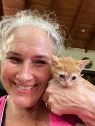 Adoptable female kitten in San Juan area