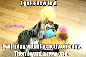 Clean grumpy cat meme compilation youtube. Top Laughing So Hard Cat Memes Ladybug Y Cat Noir Memes Funny Cat Memes Cat Memes Clean Cat Quotes Funny