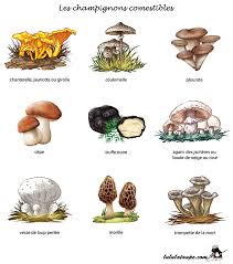 Epingle Sur Jardin