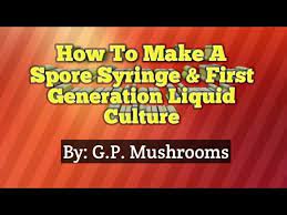 When multiple strains are present on the same substrate they become competitive. How To Make Liquid Culture And Spore Syringe Youtube