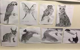 This group of lessons is probably one of my favorite categories on our entire website ? Draw Realistic Animals Of Any Kind By Cbrown6 Fiverr