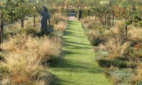 Landscape Focused Landscape Garden Design Ideas