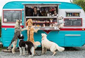 Pet beim führenden marktplatz für gebrauchtmaschinen kaufen. Treat Your Dog At These Pup Friendly Seattle Spots Seattle Met