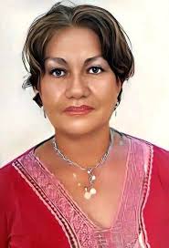 Información Telenovelas