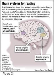 Interactive Notebook Dyslexia Dyslexia Resources Dyslexia Strategies