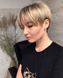 Linda DeVaney (dogmom4)