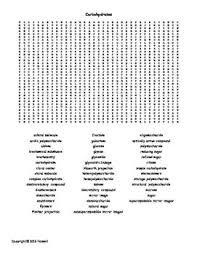 Carbohydrates Vocabulary Word Search For Biological Chemistry Biological Chemistry Carbohydrates Vocabulary Words