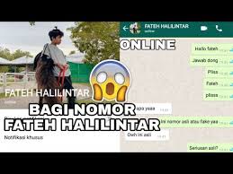 Check spelling or type a new query. Nomor Wa Fateh Halilintar Asli 2021 Youtube