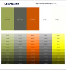 5 of the best website. 28 Latest Color Schemes With Orangered And White Color Tone Combinations 2021 Icolorpalette