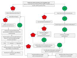 for health care professionals cannabis and cannabinoids