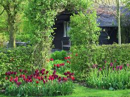 Attraktive angebote an 🏡pflanzen, kübelpflanzen, zimmerpflanzen usw. Kleine Garten Ganz Gross Gartenzauber