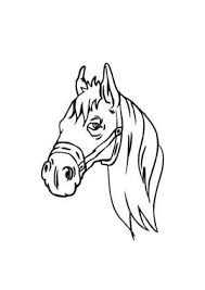 Kostenlose pferde malvorlagen von free coloring pages. Ausmalbild Kopf Von Pferd Zum Ausdrucken
