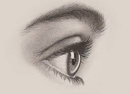 17,114 free images of drawing. How Draw A Realistic Eye From The Side Rapidfireart