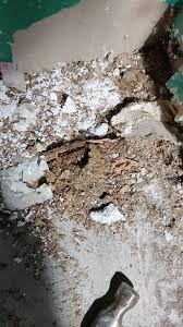 Image result for site:byggahus.se källare-avfuktare