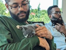 Shannon O'Donnell KOMO added a...