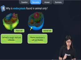 Why Is Endocyotsis Found In Animal Only?​ - Brainly.In