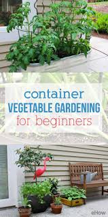However, vegetable container gardening can be a frustrating endeavor if your plants don't thrive and produce. Container Vegetable Gardening For Beginners Ehow Com Container Gardening Vegetables Vegetable Garden For Beginners Indoor Vegetable Gardening
