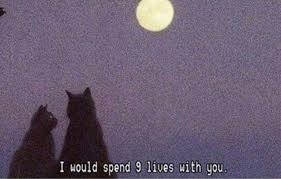 You Are My Spirit Animal Quote Aesthetic Life Mood Quotes