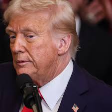 Trump orders creation of US sovereign wealth fund, says it could buy TikTok 