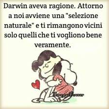 Https Immagini Amore 1 Tumblr Com Post 163608839102 Frasi D Amore Da Condividere Cartoline D Amore Citazioni Divertenti Citazioni Citazioni Carine