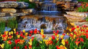 A point of view of a laying man enjoying beautiful nature scenes. Hd Nature Wallpapers Desktop Images Download Cool Beautiful Nature Full Hd Beautiful 1280x720 Wallpaper Teahub Io