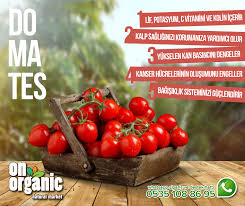 her cumartesi onorganic marketimizin onune kurdugumuz organik pazarimizla mevsimin en taze organik sebze ve meyvelerini bahcesehir sebzeler meyve bahcesehir