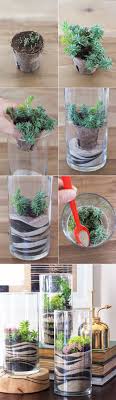 Understand An Artist S Online Presence Succulents Diy Plants Succulents Indoor