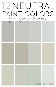 interesting neutral kitchen paint color