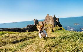 (und der rest ist noch in arbeit …) Busrundreisen In England Schottland Wales Und Irland
